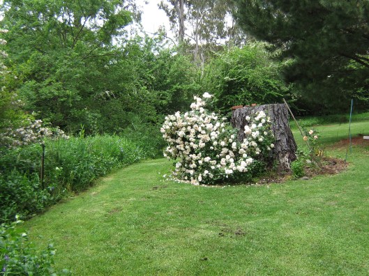 Garden of the Heysen family home, Hahndorf, South Australia