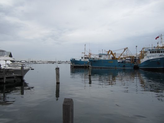 Boats in Fremantle Fishing Boat Harbour